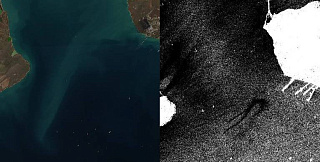 Решение резидента ИНТЦ «Сириус» в числе самых значимых технологий для восстановления экологии побережья Чёрного моря