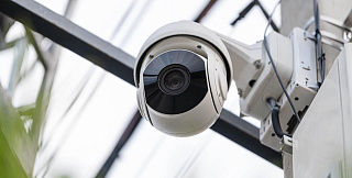 Технологические решения, апробированные в Сириусе, тиражируются по всей стране и получают награды 