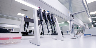 Ученые-генетики «Сириуса» помогут лечить наследственную слепоту